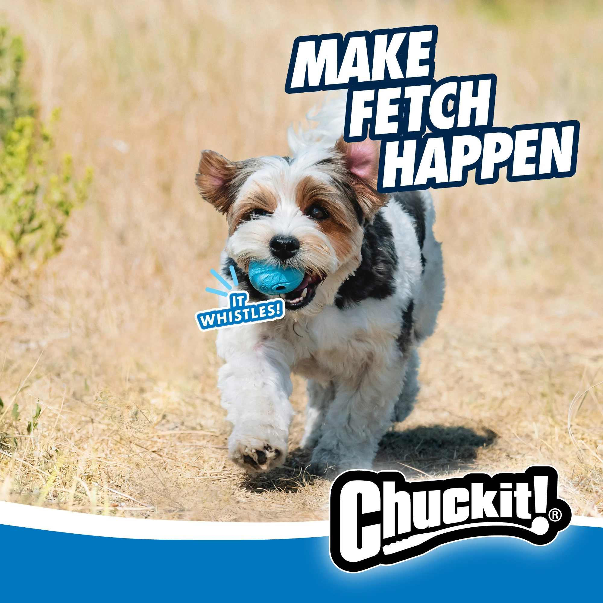 Piłka dla psa z gwizdkiem M, ø 6 cm, 2 sztuki – Chuckit! The Whistler - obrazek 5