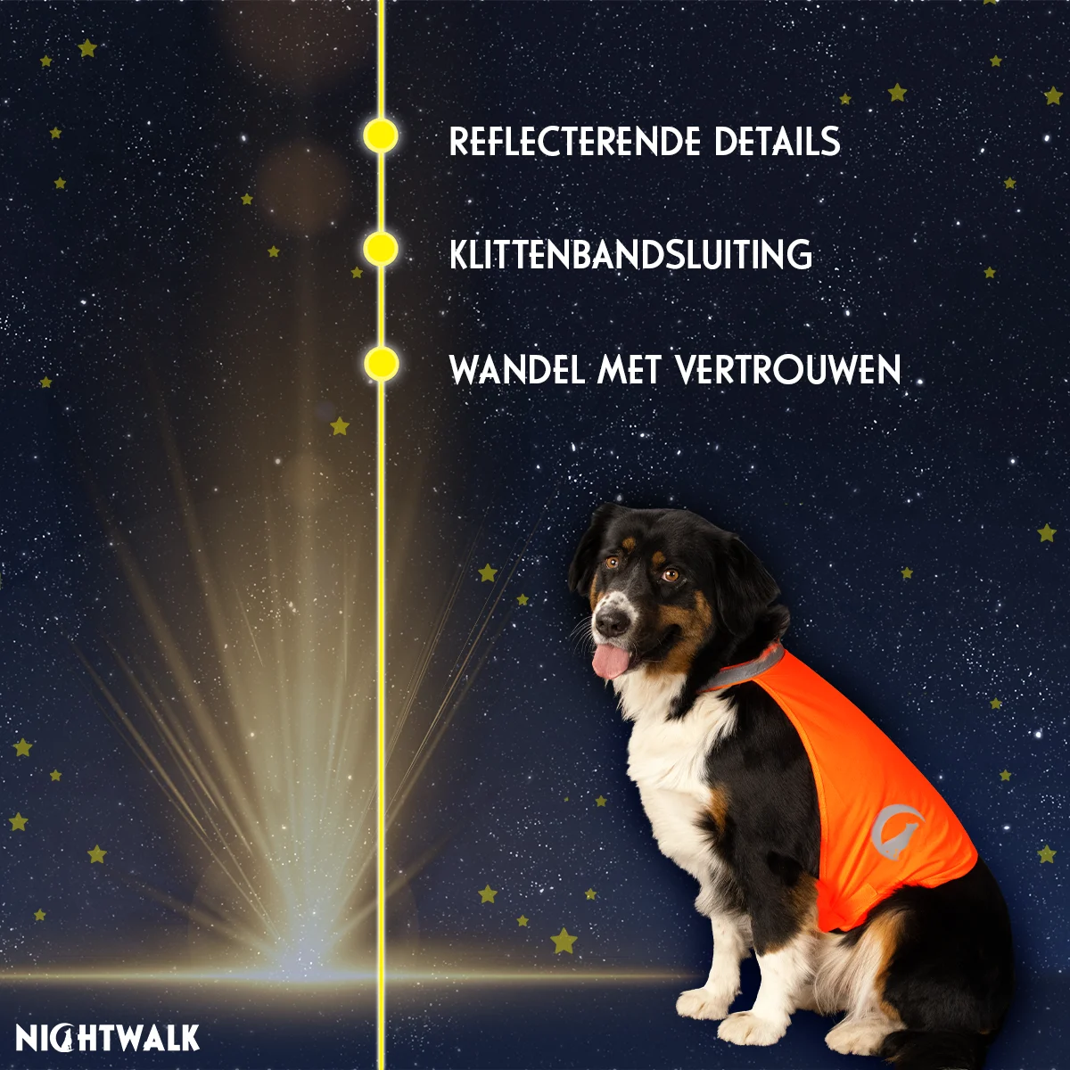 Pomarańczowa kamizelka odblaskowa dla psa z zapięciem na rzep, L – Nightwalk Safety Vest - obrazek 3