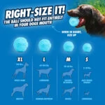 Odbijająca się piłka dla psa z gumy z recyklingu, 2 sztuki – Chuckit! Rebounce Fetch Ball M - obrazek 6