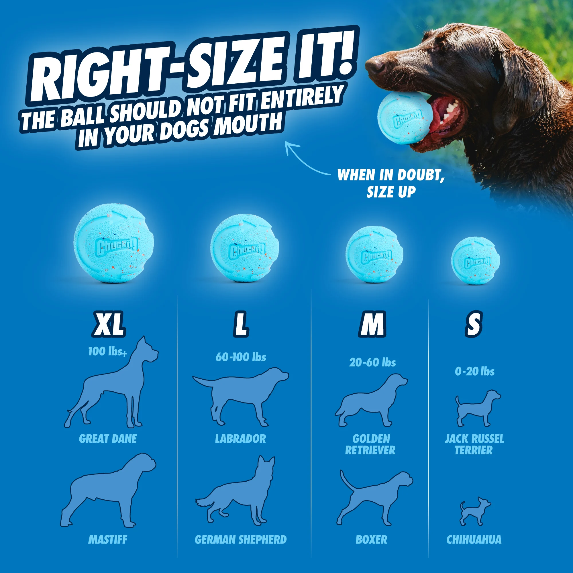 Odbijająca się piłka dla psa z gumy z recyklingu, 2 sztuki – Chuckit! Rebounce Fetch Ball M - obrazek 6
