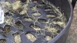 Okrągły paśnik na siano dla koni na pastwisku, ø 124–128 cm – Ok-Plast Hooi Ring Feeder - obrazek 2
