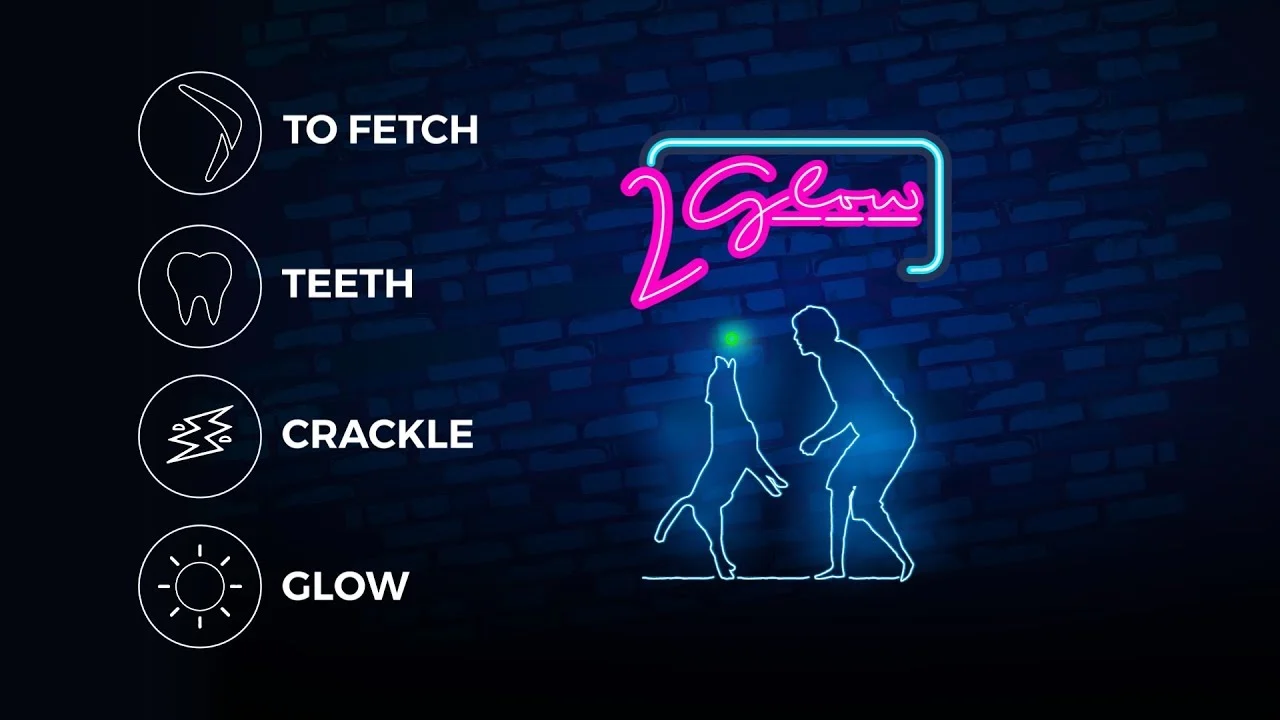 Świecący patyk do zabawy dla psa – 2 Glow Cracking & Tracking Stick - obrazek 2