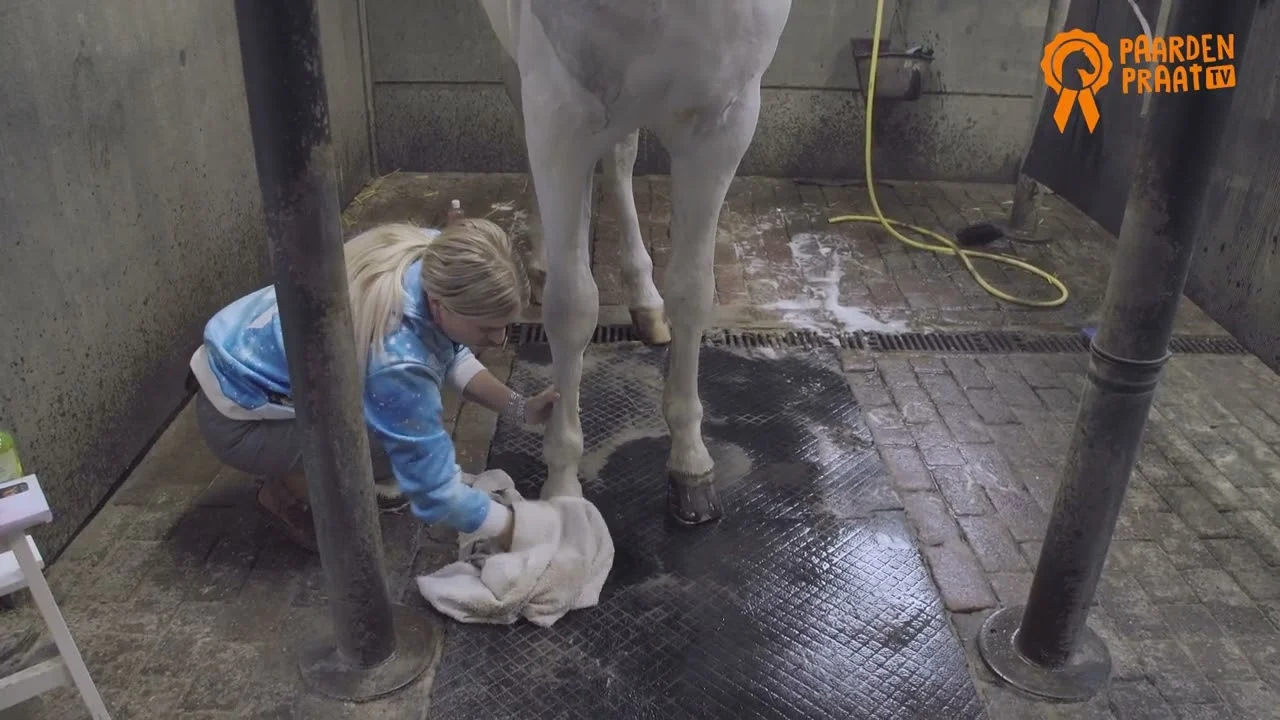Olej do kopyt z olejkiem z drzewa herbacianego, 500 ml – Paardenpraat TV Hoefglansolie - obrazek 2
