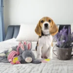 Pluszowa przytulanka dla psa, królik z piszczałką dla szczeniąt – Bunny Puppy Crunchy Chew - obrazek 3