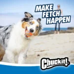 Wyrzutnia do piłek z piłką, 45 cm – Chuckit! Junior Ball Launcher - obrazek 6