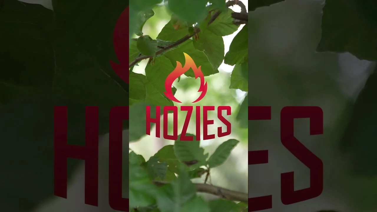 Zabawka dla psa z węża strażackiego, M – Hozies Billy Bengal - obrazek 2
