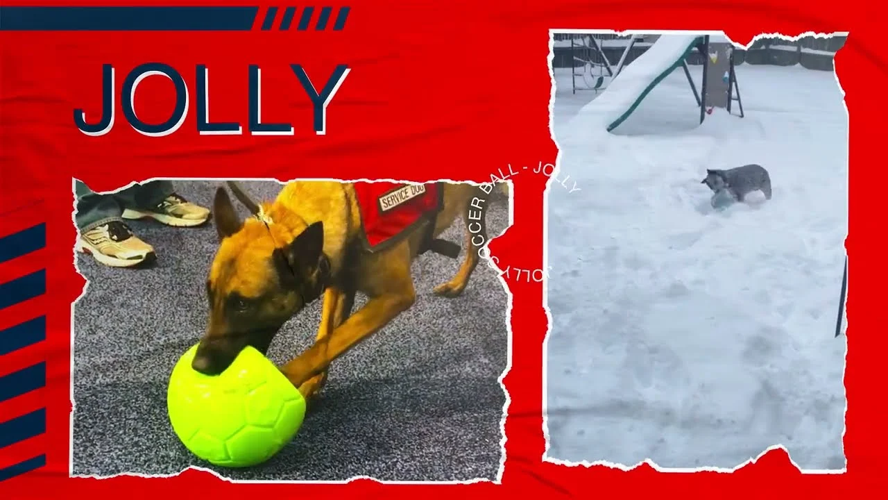 Piłka do aportowania dla psa, pomarańczowo biała, 15 cm – Jolly Pets Jolly Soccer Ball - obrazek 5