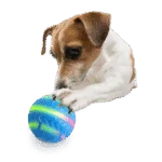 Piłka dla psa z podświetleniem i akumulatorem ładowanym przez USB – AFP Interactives Motion Activated Action Ball - obrazek 4
