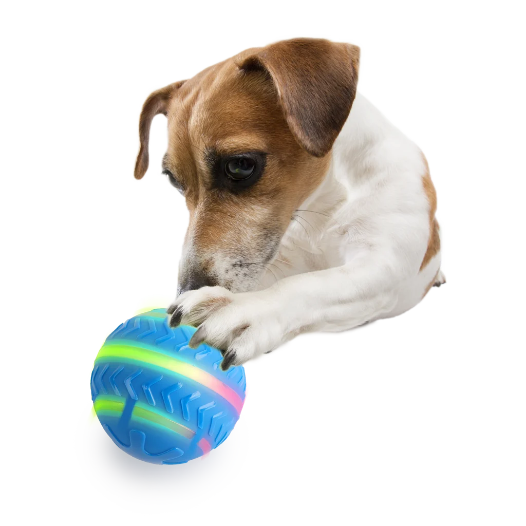 Piłka dla psa z podświetleniem i akumulatorem ładowanym przez USB – AFP Interactives Motion Activated Action Ball - obrazek 4
