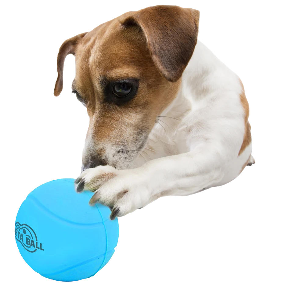 Gumowa piłka dla psa z grzechotką, ø 6,3 cm – AFP Meta Ball Bounce & Rattle Ball - obrazek 3