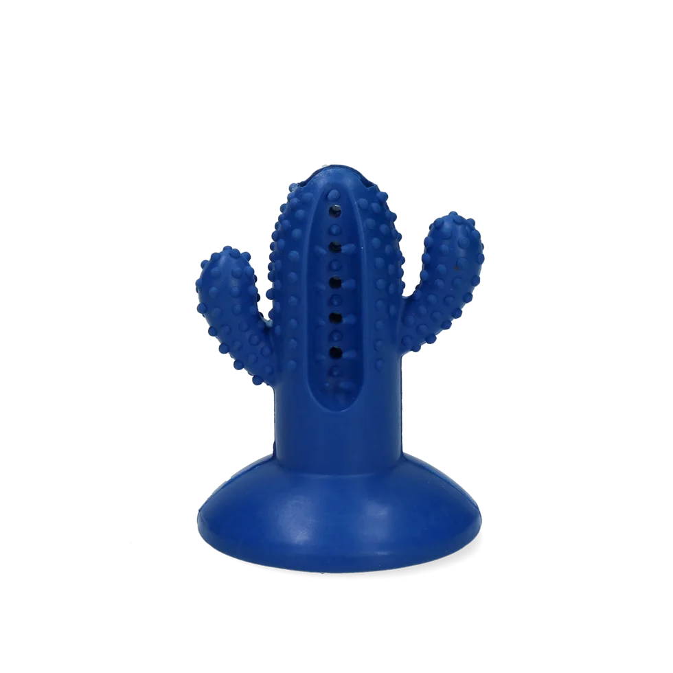 Gumowa zabawka do gryzienia w kształcie kaktusa z przyssawką, S, niebieska, 6,4 x 8,4 x 6,5 cm – AFP Dental Chews - Dental Cactus - obrazek 2