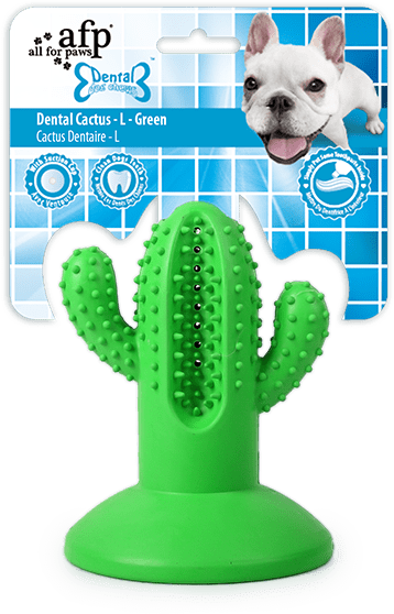 Zabawka do gryzienia w kształcie kaktusa z gumy, z przyssawką, L, zielona – AFP Dental Chews - Dental Cactus