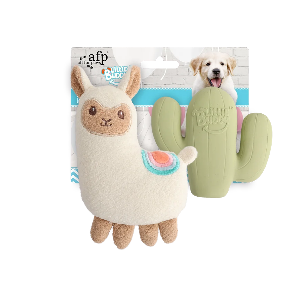 Zestaw zabawek dla szczeniaka z pluszakiem i piszczałkami, 2 sztuki – AFP Little Buddy 2-Pack Toy Fiesta - obrazek 1