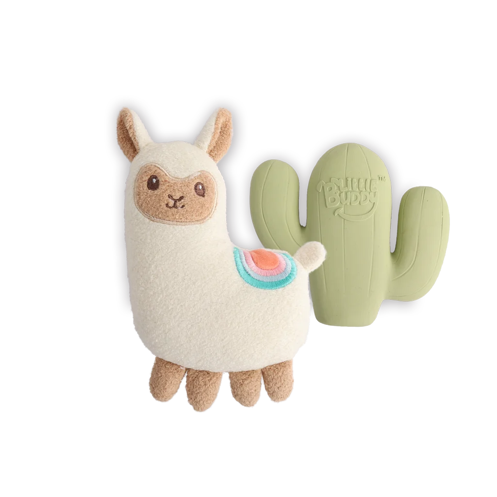 Zestaw zabawek dla szczeniaka z pluszakiem i piszczałkami, 2 sztuki – AFP Little Buddy 2-Pack Toy Fiesta - obrazek 2
