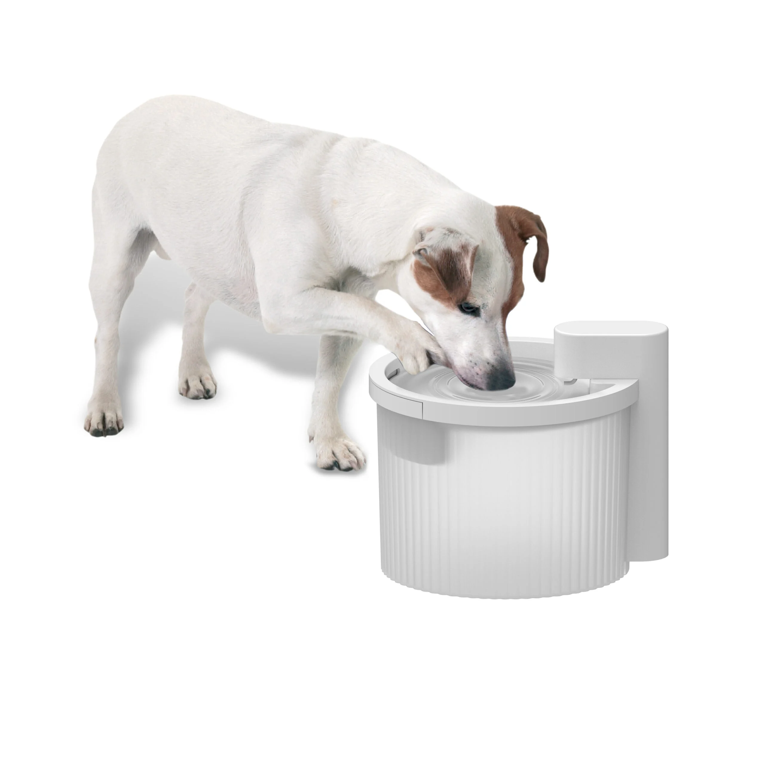 Fontanna do picia dla psa, bezprzewodowa z czujnikiem ruchu, 2,5 l – AFP Lifestyle 4 Pets Wireless Fountain - obrazek 2