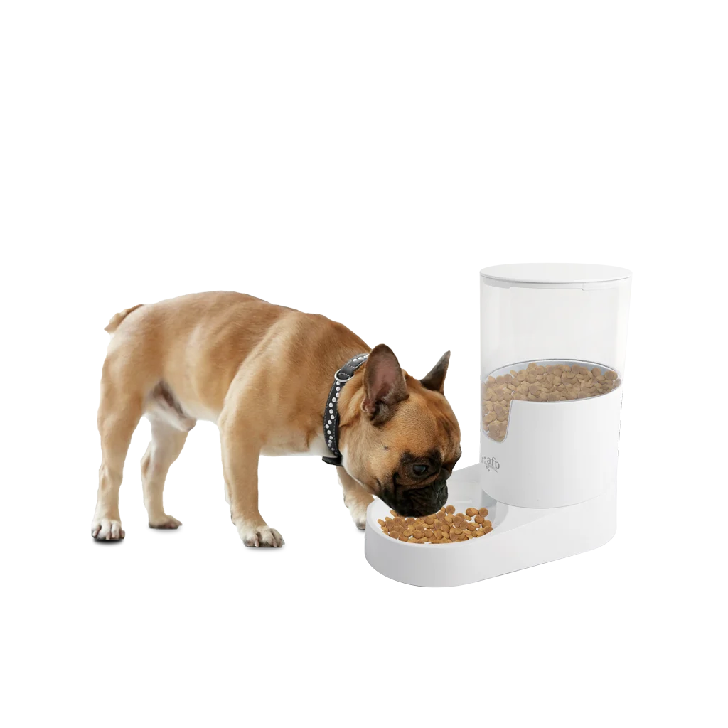 Automatyczny karmnik dla psa z pojemnikiem, 3 l – AFP Lifestyle 4 Pets Gravity Pet Food Feeder - obrazek 2