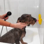 Zabawka dla psa w kształcie kaczuszki z przyssawką i silikonowymi wypustkami, 13 x 10 cm – AFP Calm Paws - Bath Anti-anxiety Duck - obrazek 2