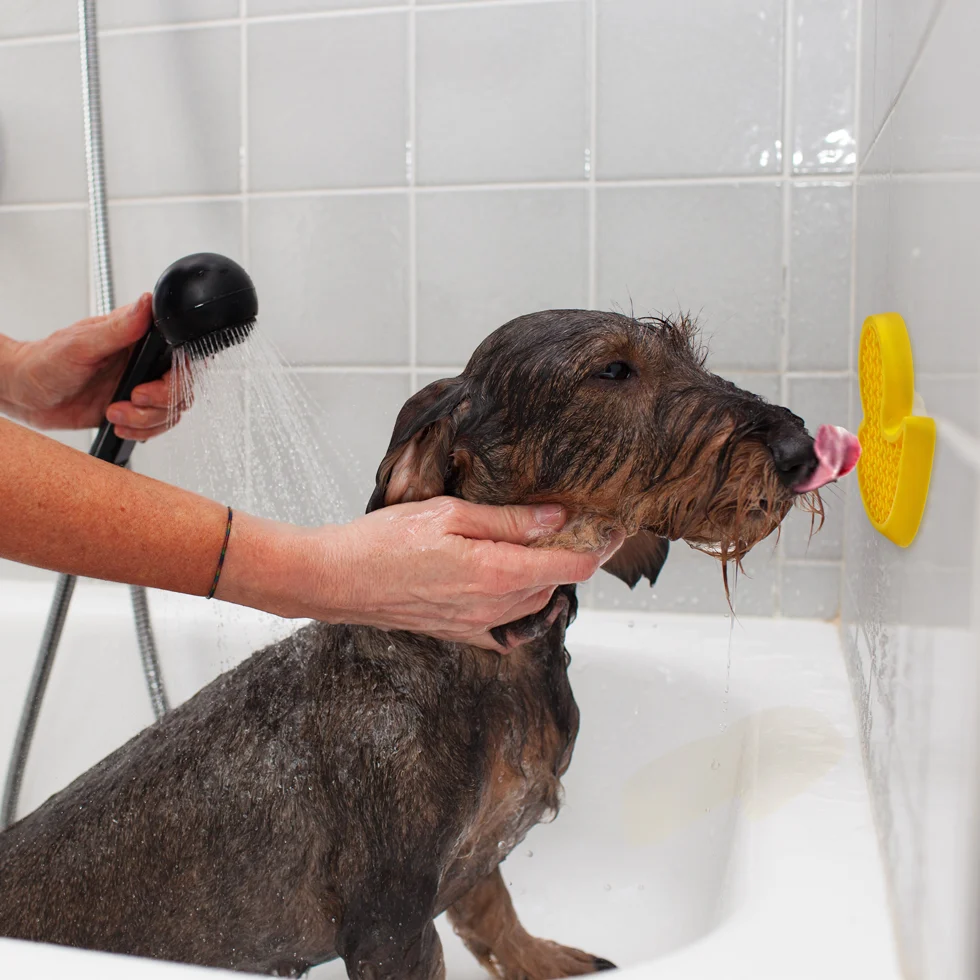 Zabawka dla psa w kształcie kaczuszki z przyssawką i silikonowymi wypustkami, 13 x 10 cm – AFP Calm Paws - Bath Anti-anxiety Duck - obrazek 2