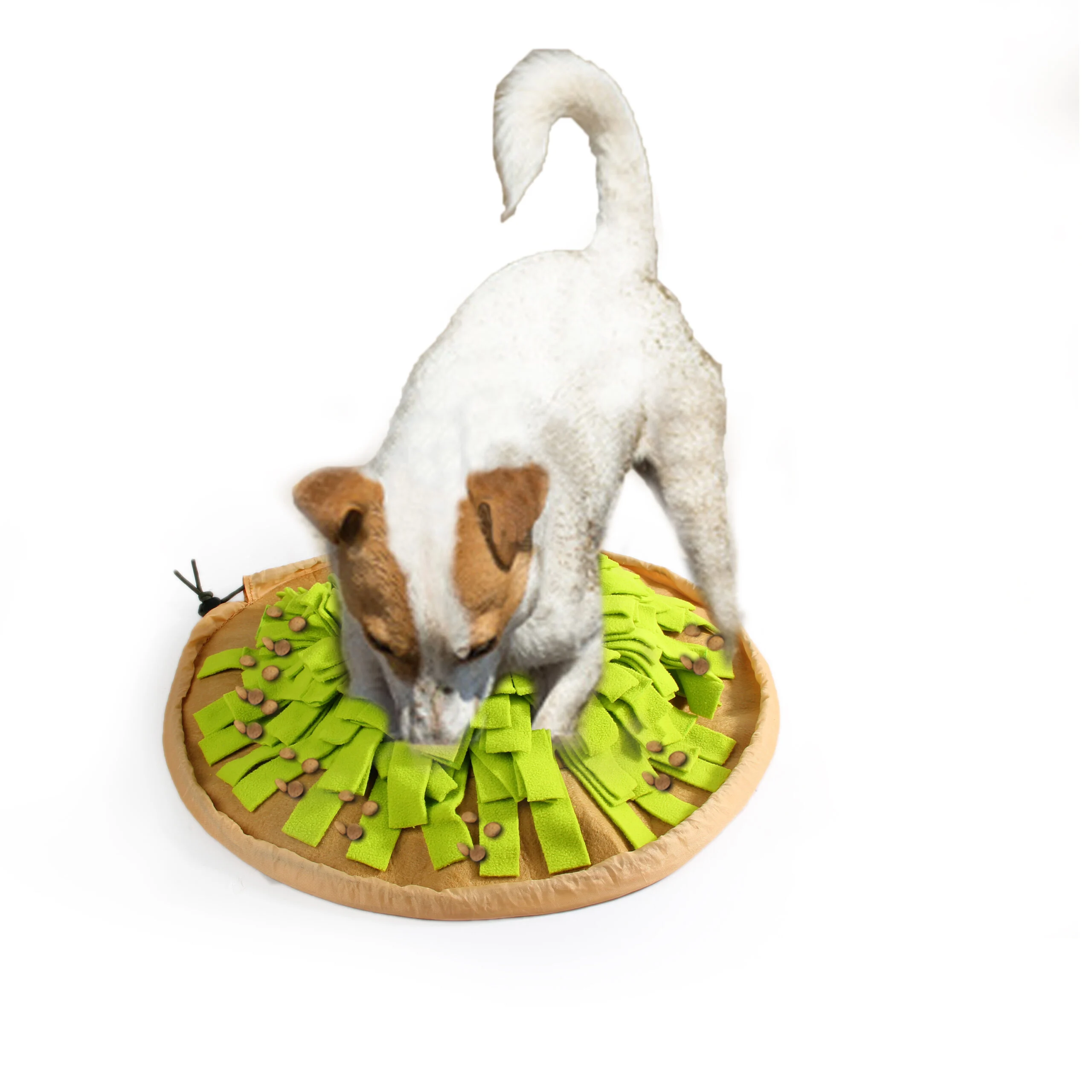 Mata węchowa dla psa, składana, ø 50 cm – AFP Dig It - Foldable Treat Mat - obrazek 5