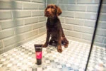 Szampon dla szczeniąt o wrażliwej skórze, 250 ml – Animology Puppy Love - obrazek 3