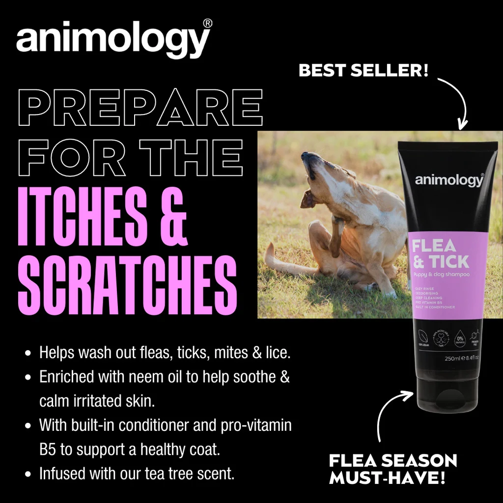 Szampon dla psów do zmywania pcheł i kleszczy, 250 ml – Animology Flea & Tick - obrazek 2