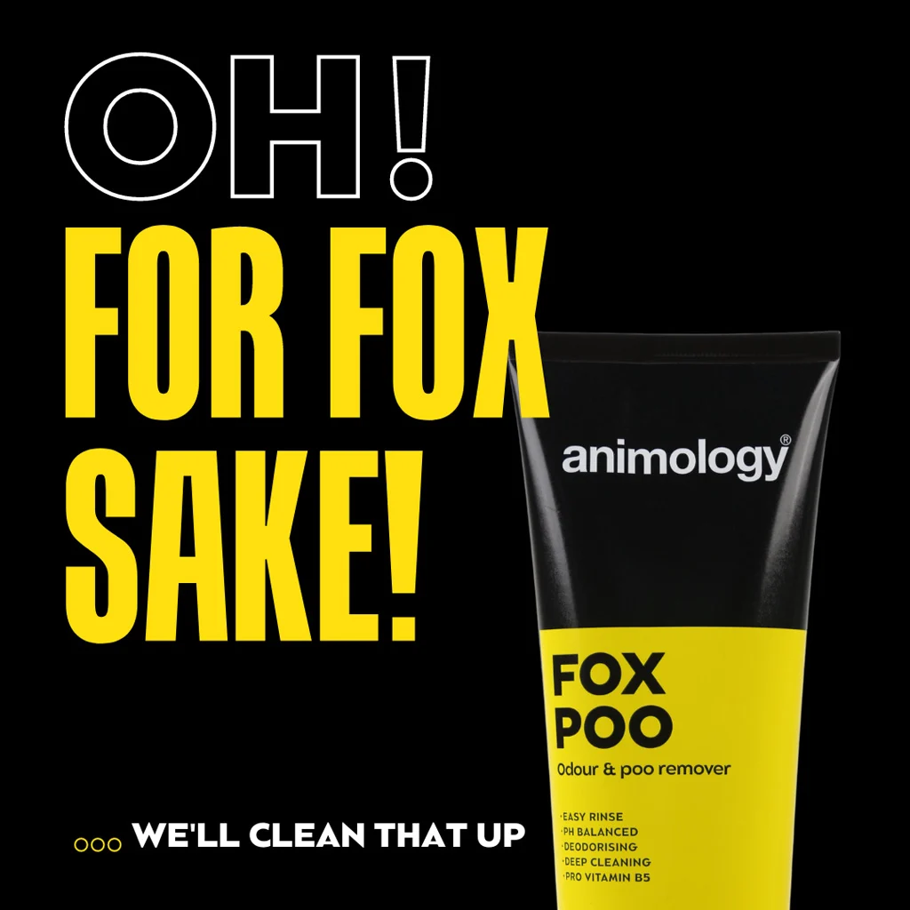 Szampon dla psów na nieprzyjemne zapachy, 250 ml – Animology Fox Poo - obrazek 2