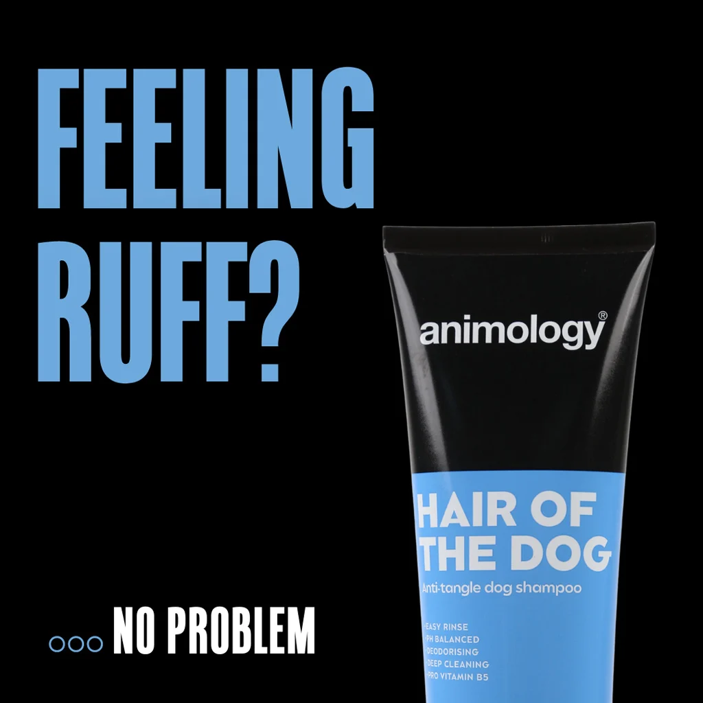 Szampon dla psa ułatwiający rozczesywanie z odżywką, 250 ml – Animology Hair Of The Dog Anti-Tangle - obrazek 2