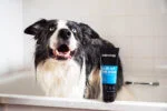 Szampon dla psa ułatwiający rozczesywanie z odżywką, 250 ml – Animology Hair Of The Dog Anti-Tangle - obrazek 3