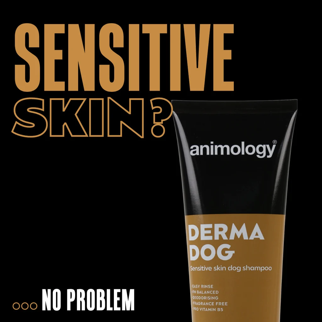 Szampon dla psa do skóry wrażliwej, 250 ml – Animology Derma Dog Sensitive Skin - obrazek 2