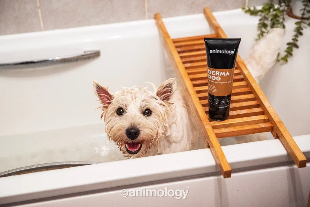 Szampon dla psa do skóry wrażliwej, 250 ml – Animology Derma Dog Sensitive Skin - obrazek 3
