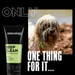Szampon dla psa do intensywnego oczyszczania, 250 ml – Animology Deep Clean Intensive - obrazek 2