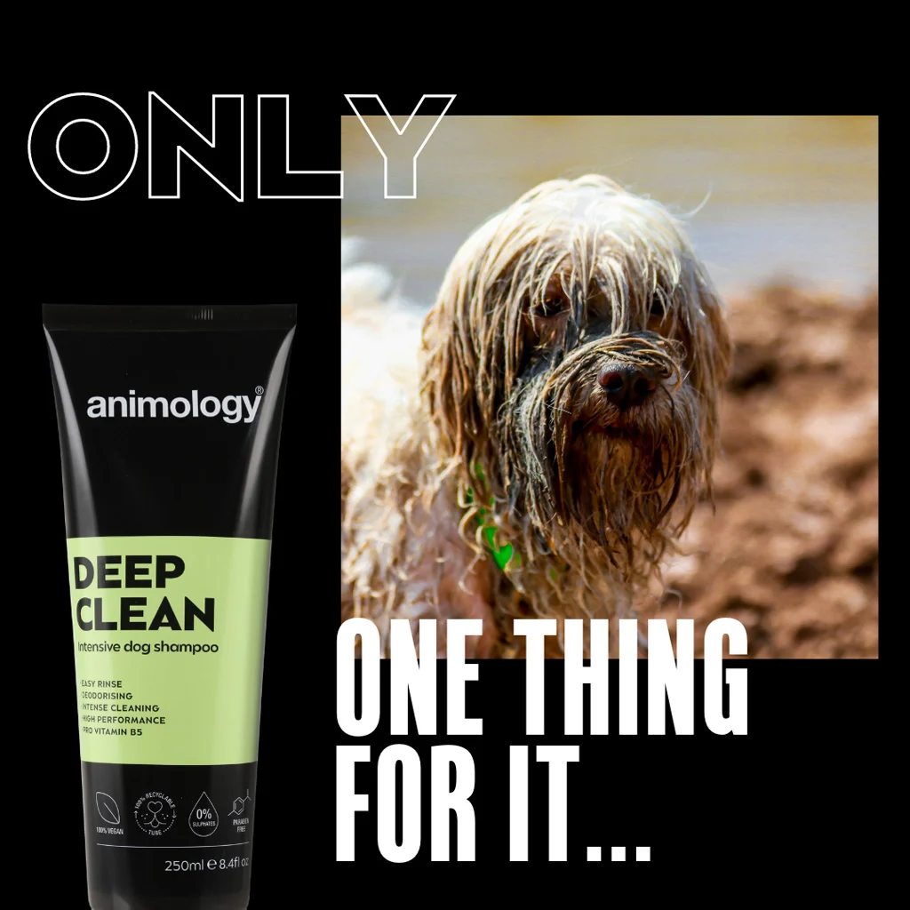 Szampon dla psa do intensywnego oczyszczania, 250 ml – Animology Deep Clean Intensive - obrazek 2