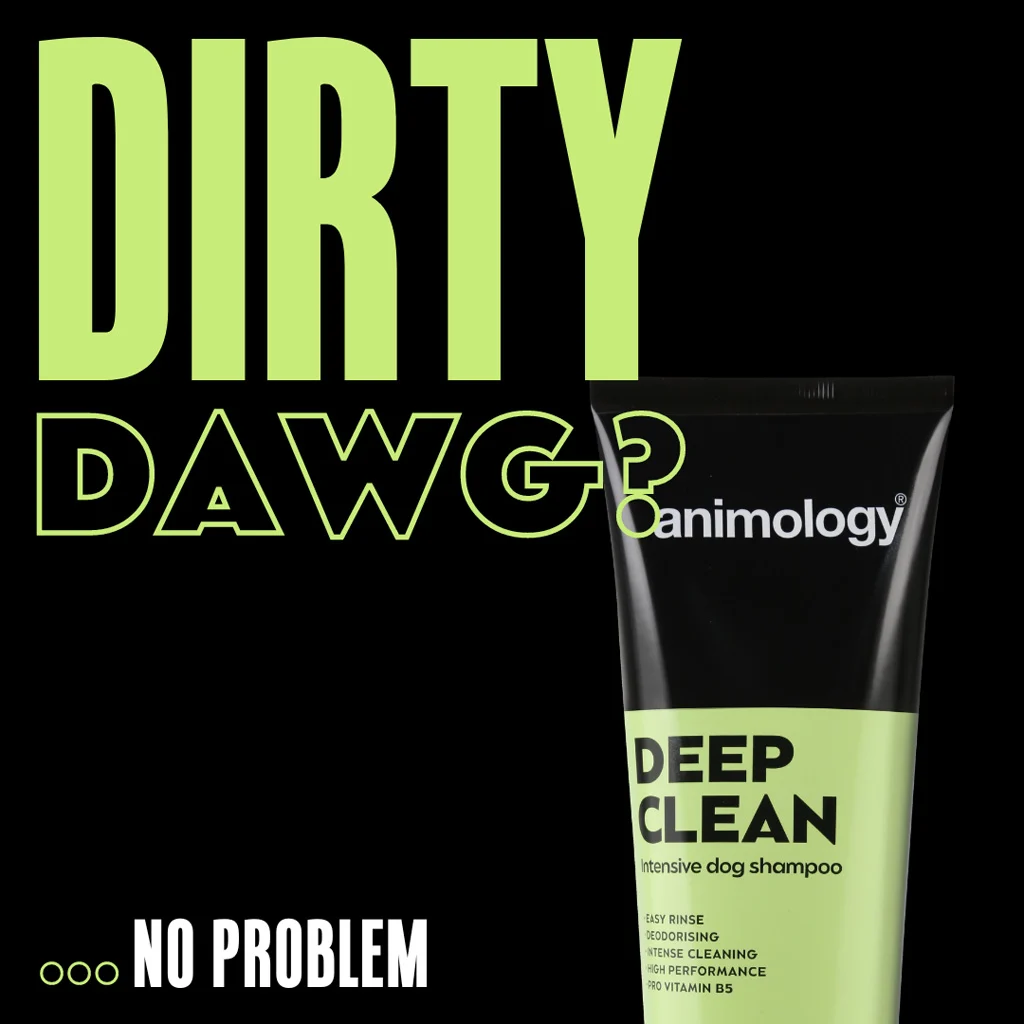 Szampon dla psa do intensywnego oczyszczania, 250 ml – Animology Deep Clean Intensive - obrazek 3