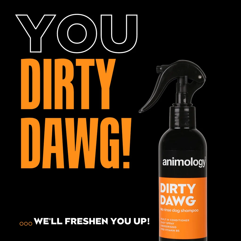 Szampon w sprayu dla psów, bez spłukiwania, 250 ml – Animology Dirty Dawg - obrazek 2