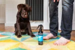 Szampon w sprayu dla szczeniąt bez spłukiwania, 250 ml – Animology Mucky Pup - obrazek 2
