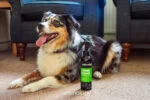 Spray do sierści psa neutralizujący nieprzyjemne zapachy, 250 ml – Animology Stink Bomb Deodorising Dog Spray - obrazek 2