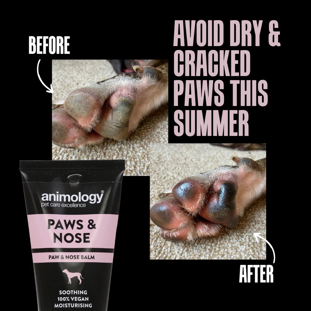 Balsam do łap dla psów, także do nosa, 50 ml – Animology Paws & Nose Balm - obrazek 3