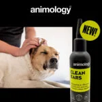 Płyn do czyszczenia uszu dla psów z aplikatorem, 100 ml – Animology Clean Ears - obrazek 2