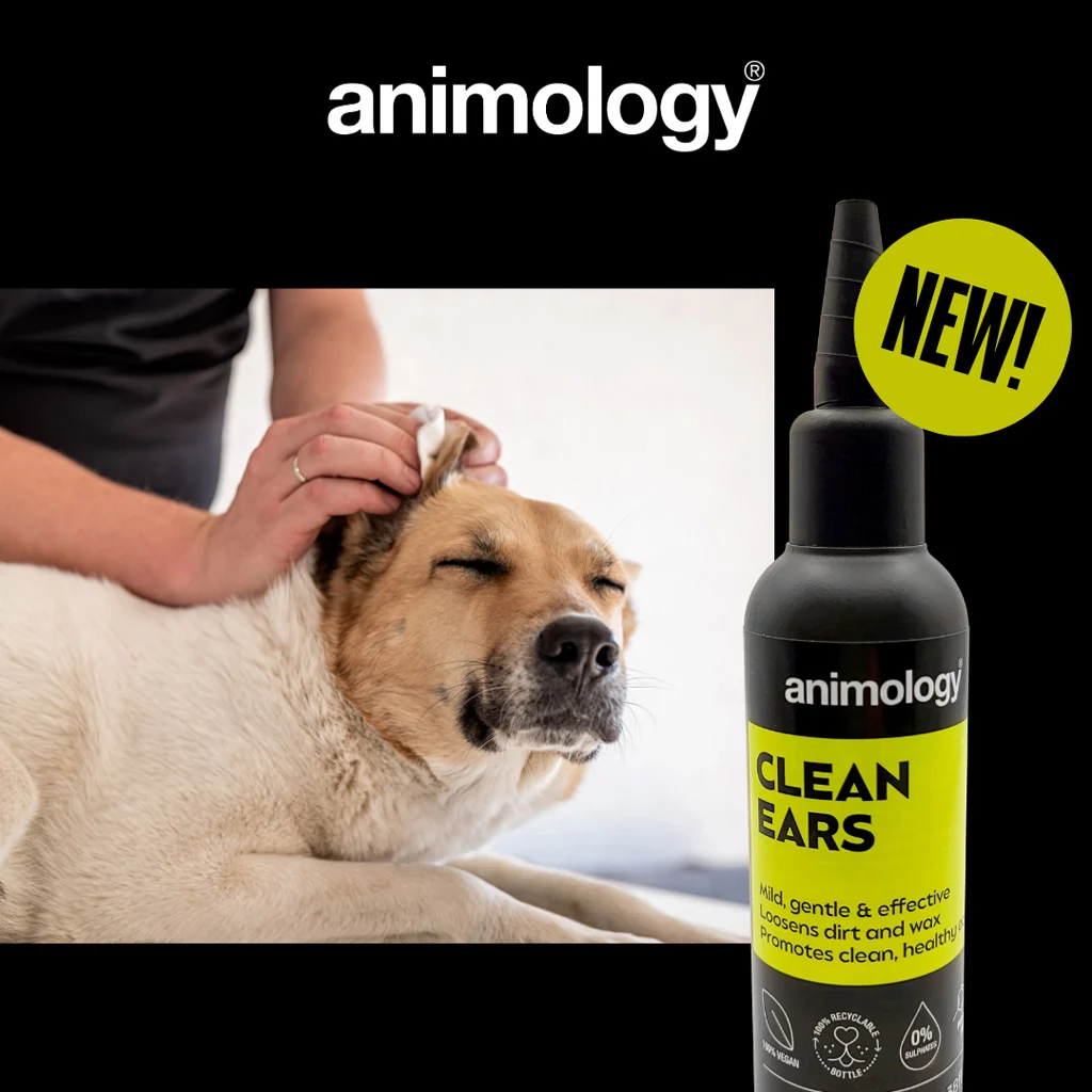 Płyn do czyszczenia uszu dla psów z aplikatorem, 100 ml – Animology Clean Ears - obrazek 2