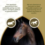Ocet jabłkowy dla koni, 1 l – Excellent Horse Apple Vinegar - obrazek 3