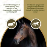 Przysmaki dla koni z czosnkiem, niskocukrowe, 1,2 kg – Excellent Horse Sweet Blocks - obrazek 4
