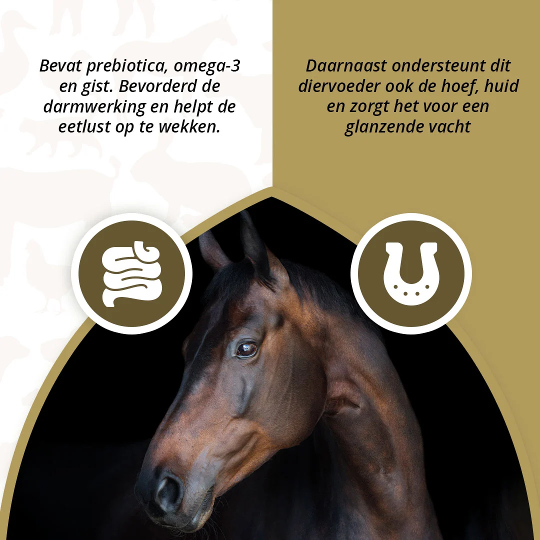 Prebiotyki dla koni z omega 3 i drożdżami, 2,5 kg – Excellent Horse Prebiotics - obrazek 3