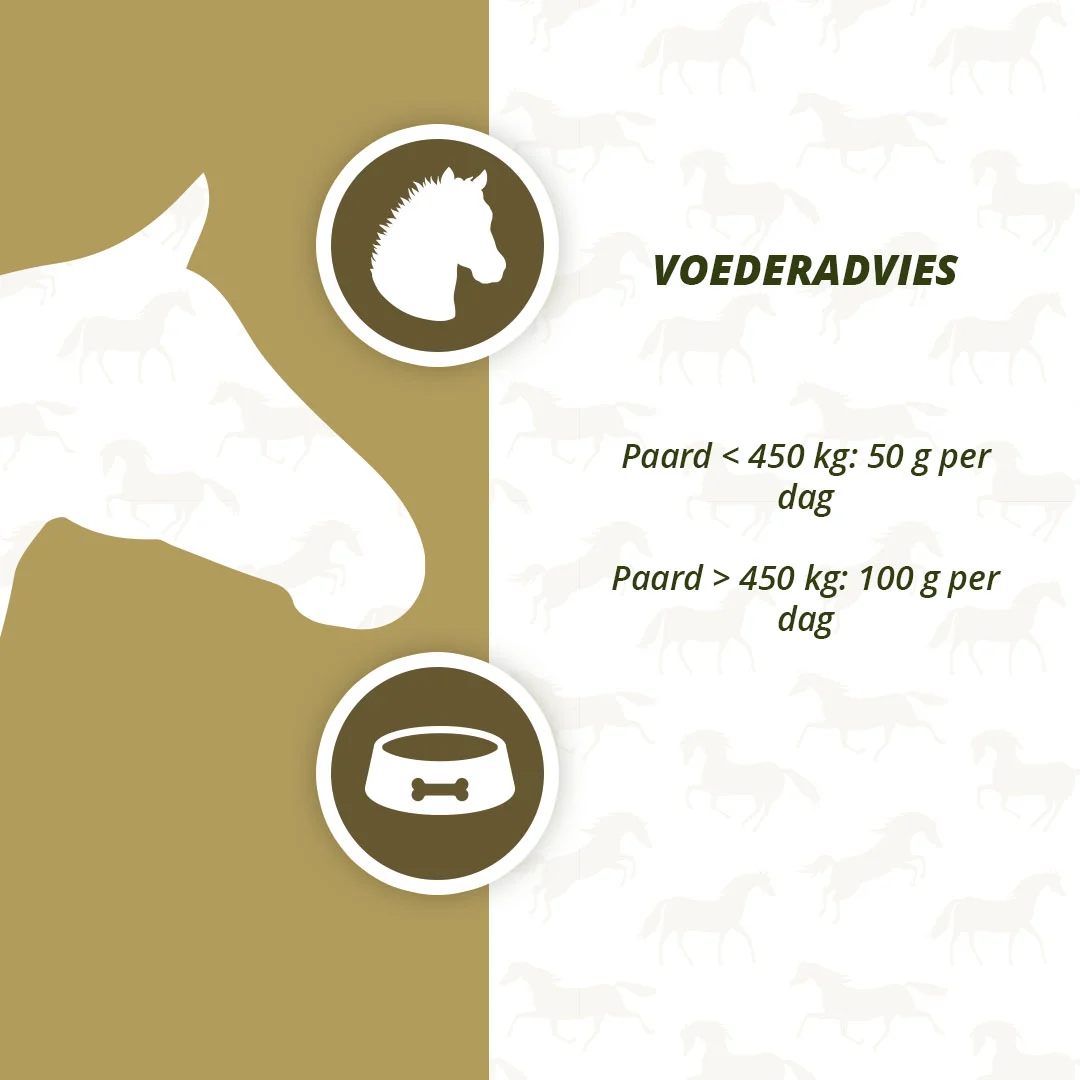 Prebiotyki dla koni z omega 3 i drożdżami, 2,5 kg – Excellent Horse Prebiotics - obrazek 4