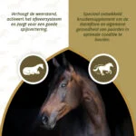 Ziołowy suplement dla koni z czosnkiem i miętą, 1,5 kg – Excellent Horse Parex - obrazek 3