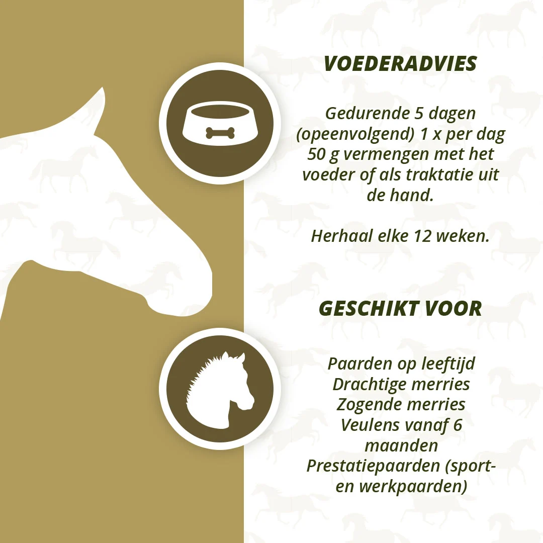Ziołowy suplement dla koni z czosnkiem i miętą, 1,5 kg – Excellent Horse Parex - obrazek 4