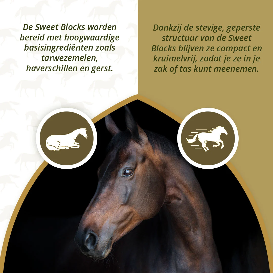Przysmaki dla koni z ziołami, 1 kg – Excellent Horse Sweet Blocks Herbs - obrazek 3