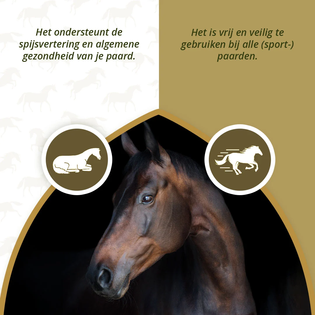 Suplement na stawy dla koni z MSM i kurkumą, 1 kg – Excellent Horse PureFree - obrazek 3