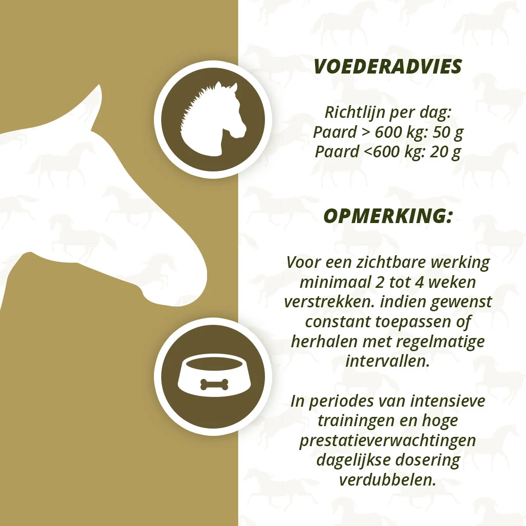 Suplement na mięśnie dla koni z algami, 1 kg – Excellent Horse Turbo - obrazek 4