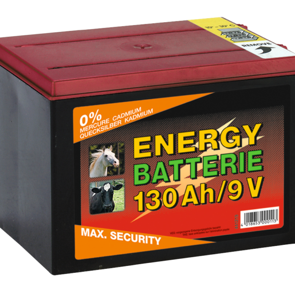 Bateria do elektryzatora ogrodzenia elektrycznego 9 V, 130 Ah, 16 x 19 x 13 cm – ZoneGuard EG super