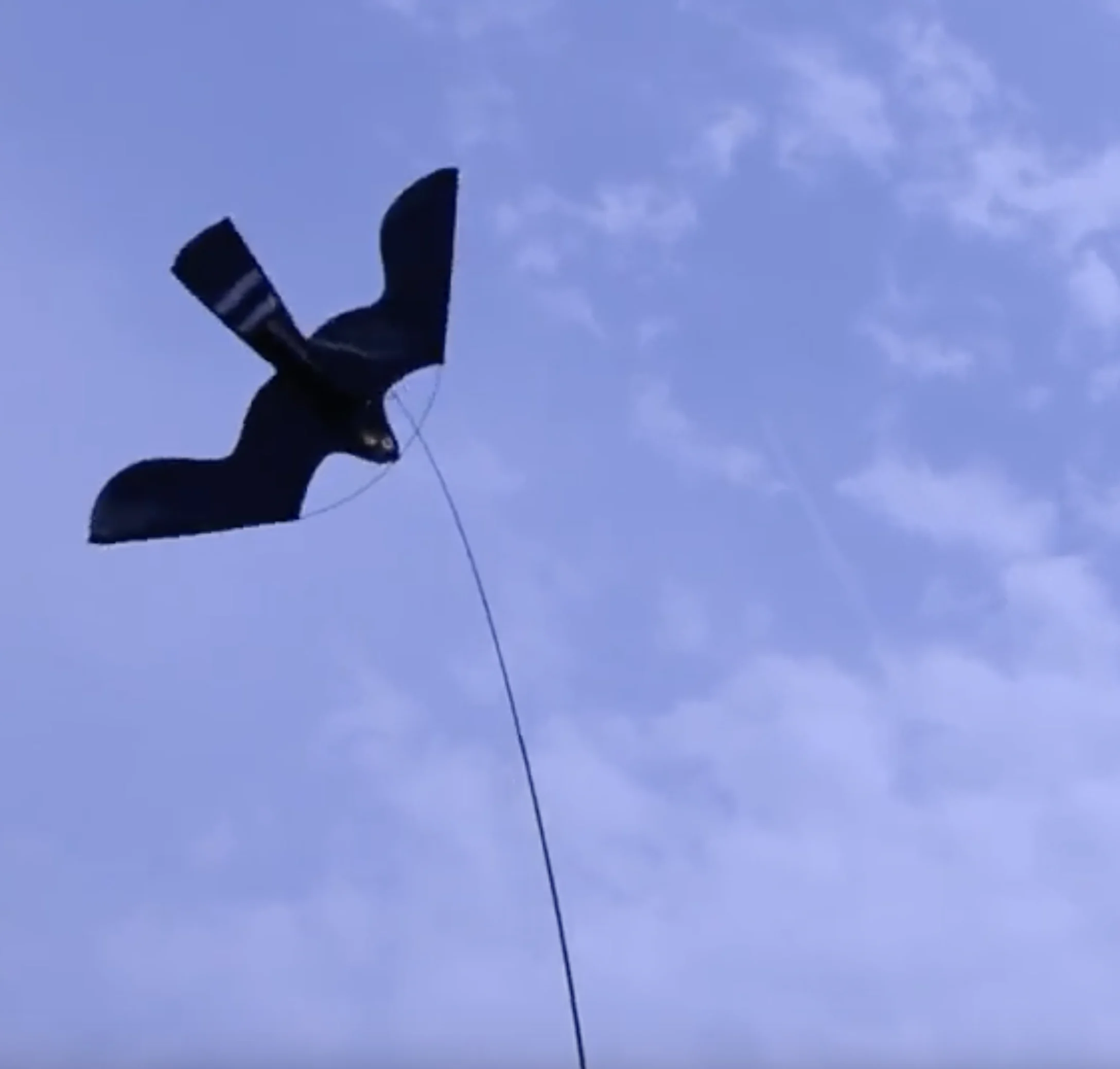 Zestaw do odstraszania ptaków z latawcem i masztem teleskopowym o długości 7 metrów – Birdshield - obrazek 2
